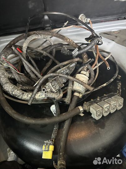 Гбо оригинал