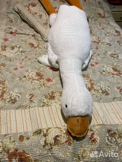 Гусь обнимусь хит 160 50