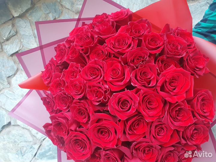 Роза эквадор по акции томск