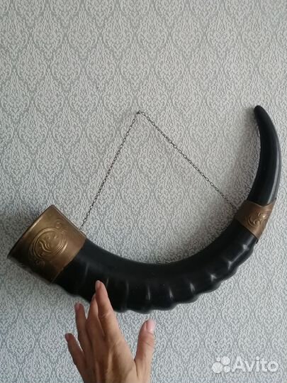 Рог изобилия