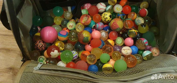 Коллеция прыгунов