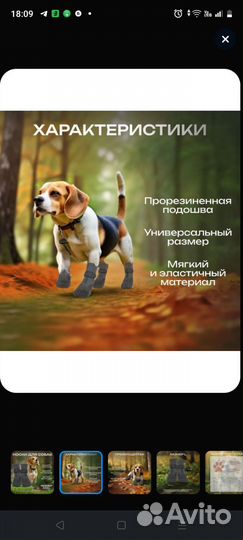 Носки для собак