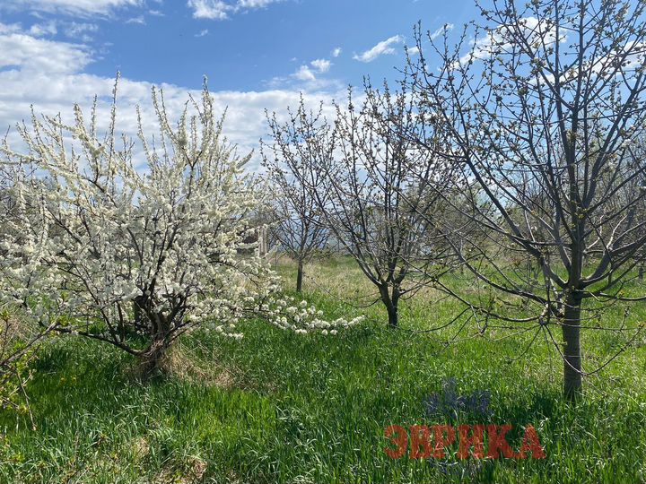 Участок 18 сот. (ИЖС)