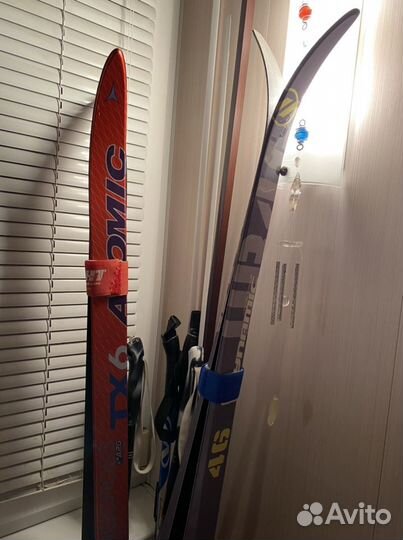 Беговые лыжи