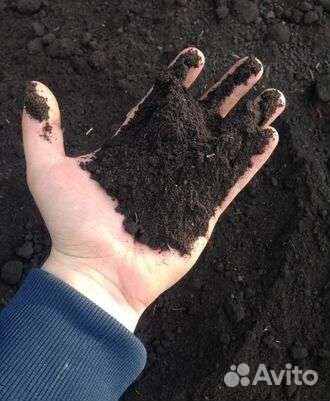 Чернозем, Грунт любой