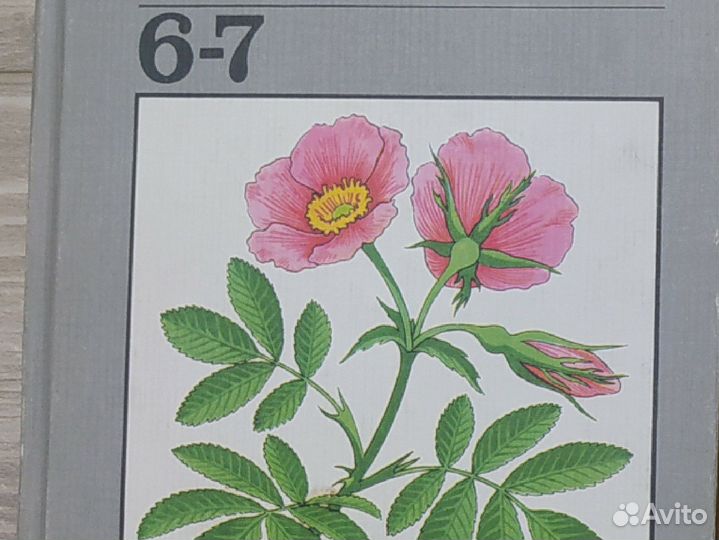 Учебники СССР