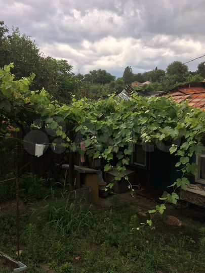 Участок 8 сот. (ИЖС)