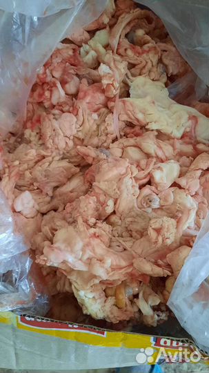 Говяжий свежий жир