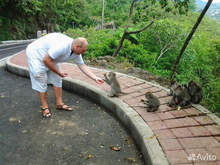 Бали Топ-Экскурсия Все грани сказочного Бали за 2