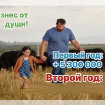 Сельскохозяйственное агентство в городе Чебоксары, Чебоксары