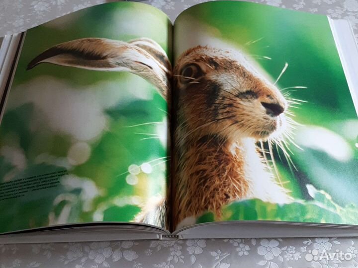 Мир дикой природы larousse