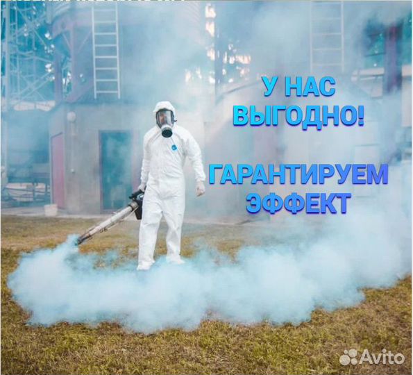 Уничтожить тараканов клопов мышей дезинфекция