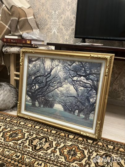 Картина СССР