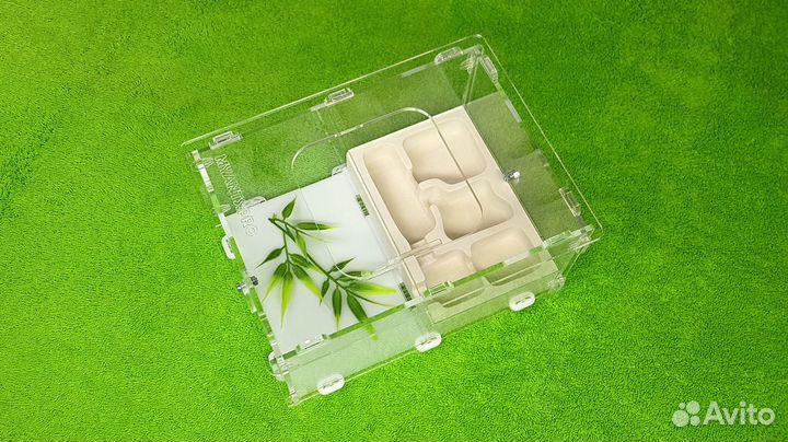 Муравьиная ферма (формикарий) для муравьев