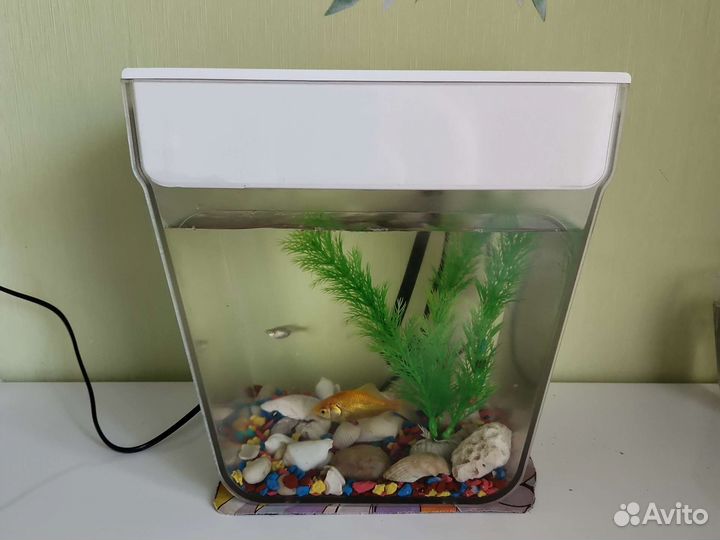 Аквариум, акваферма