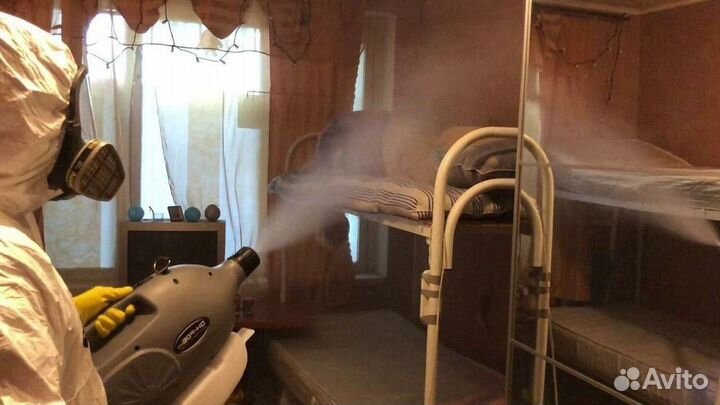 Средство для Уничтожения клопов тараканов плесени клещей