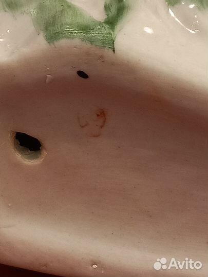 Конькобежка СССР