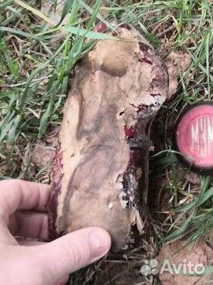 Стекло заднего фонаря москвич