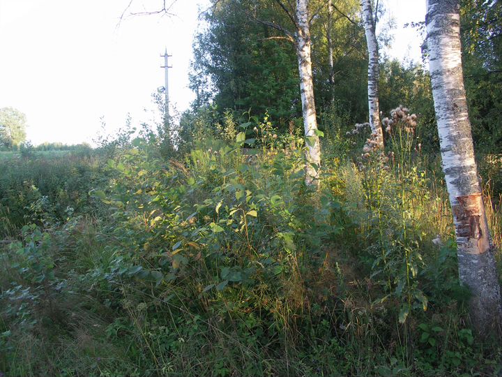 Участок 19,2 га (СНТ, ДНП)