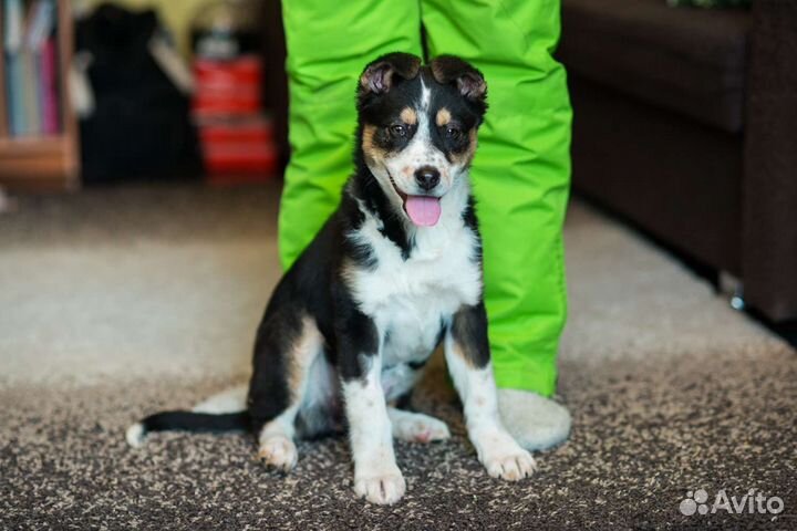 Крутая девчонка