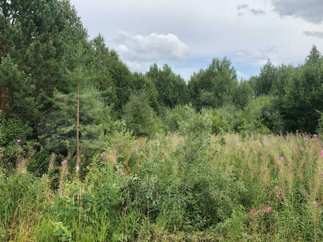 Участок 12,2 сот. (СНТ, ДНП)