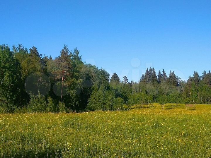 Участок 10 сот. (СНТ, ДНП)