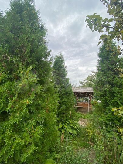 Дача 50 м² на участке 8,5 сот.