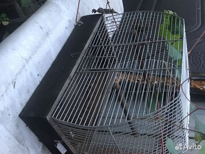 Клетки для птиц