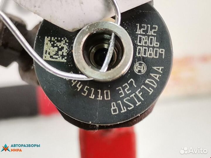 Форсунка Opel Insignia (A) 2010 55566050