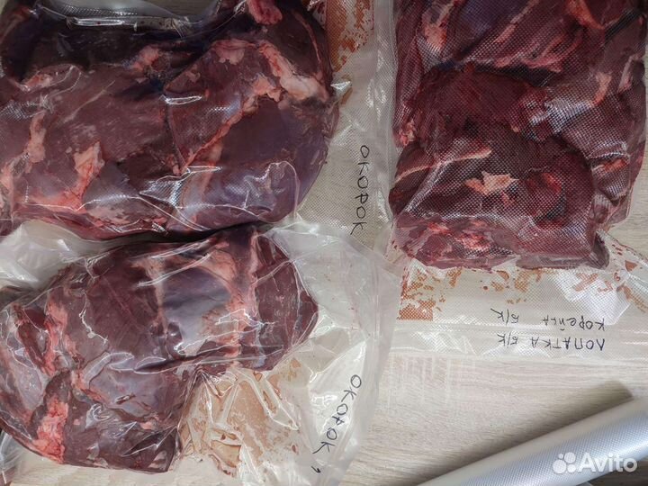 Мясо косули, лось, кабан. Дичь