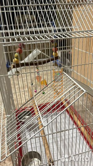 Клетка для попугая