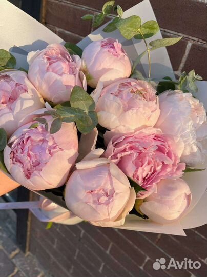 Букет пионов