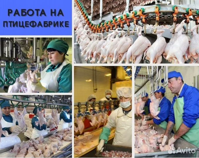 Вахта от 15 смен Белгород Питание Упаковщик-ца