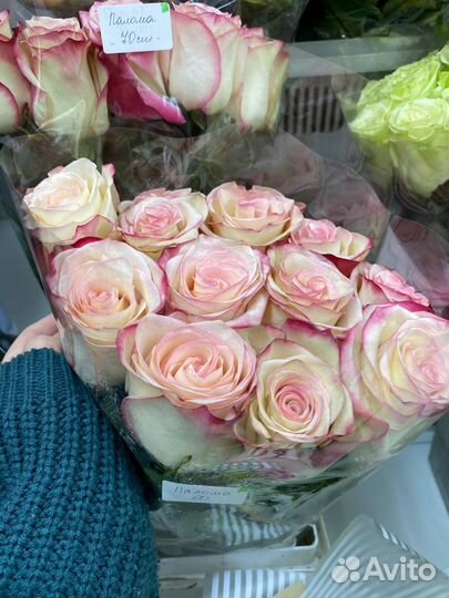 Цветы, букеты 25/51/101 доставка