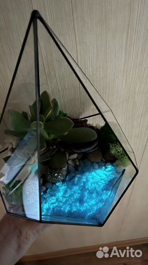 Флорариум, светящийся водоём