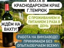 Вахта Оператор линии Винзавод Питание+Жилье