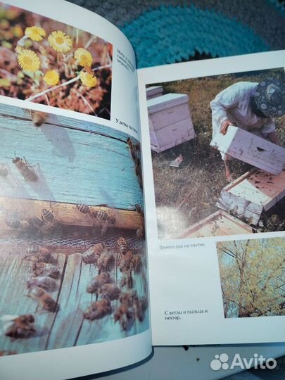 Пасека возле вашего дома книга