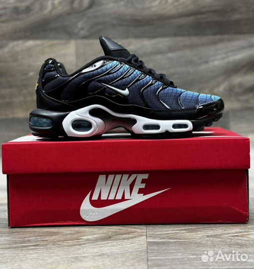 Кроссовки мужские Nike Air Max tn (41-45р)