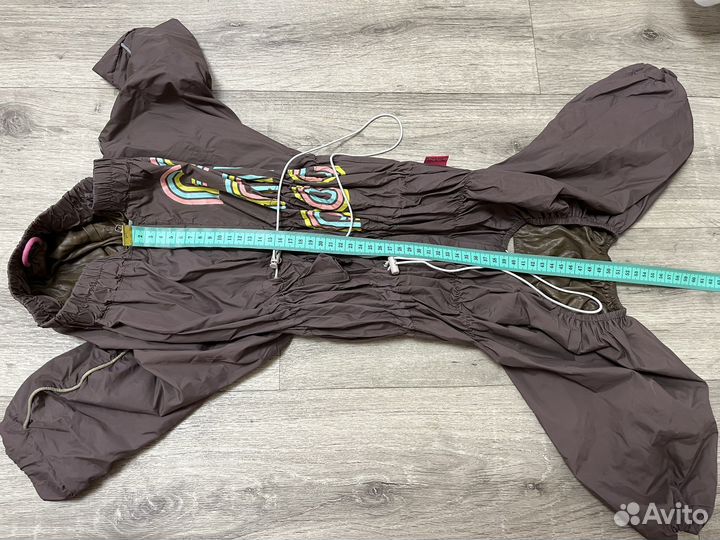 Одежда и обувь для собак