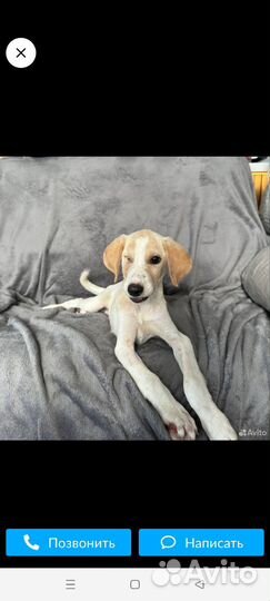 Красотка пережила боль но осталась доверчивой