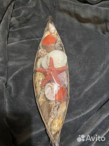 Ракушки Египет