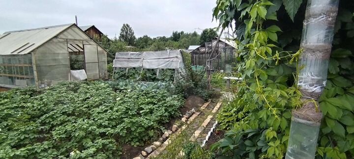 Дом 40 м² на участке 6 сот.