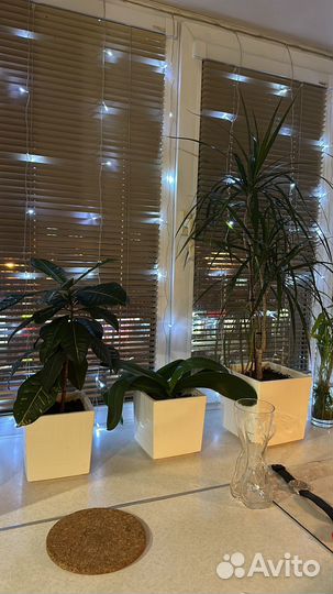 Гирлянда штора 3х3