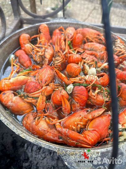 Отборные раки идеальная варка