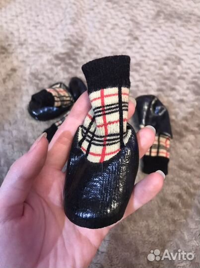 Носки с резиновой основой для собаки