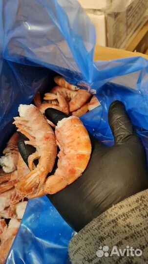 Лангустины б/г