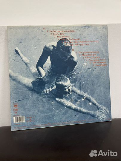 The nits In the Dutch mountains 1987 Holland винил