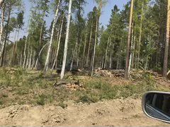 Участок 12,5 сот. (СНТ, ДНП)