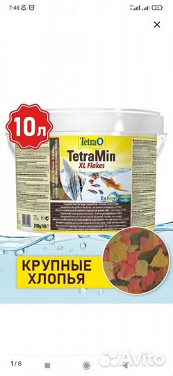 Аквариумные рыбки