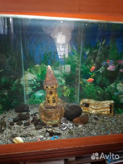 Аквариум с тумбой